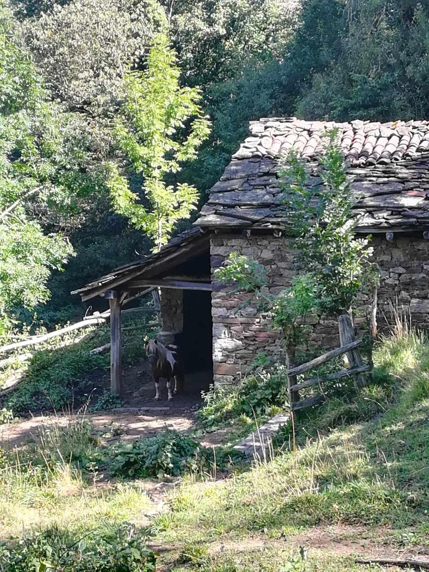 Aller Asturias Boho Chic 아파트 외부 사진