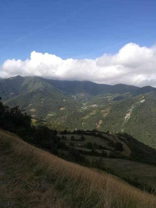 Aller Asturias Boho Chic 아파트 외부 사진