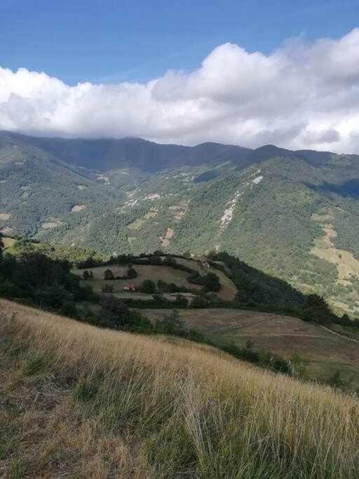 Aller Asturias Boho Chic 아파트 외부 사진