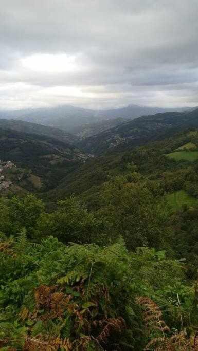 Aller Asturias Boho Chic 아파트 외부 사진