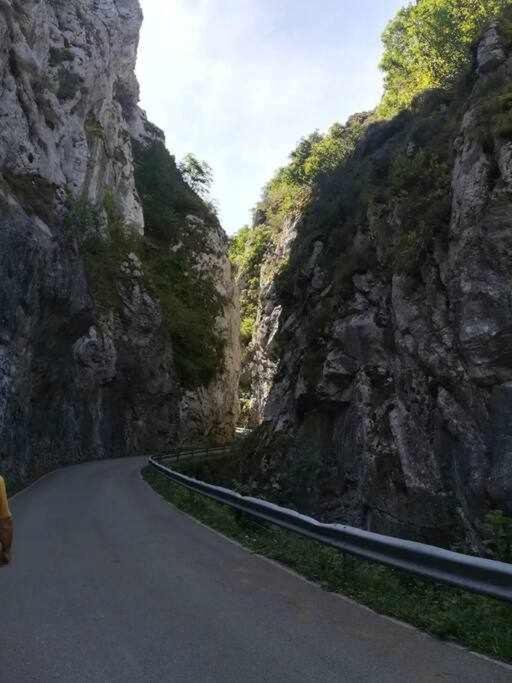 Aller Asturias Boho Chic 아파트 외부 사진